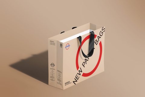 ZW-A12 平底無腰線扁繩紙袋機